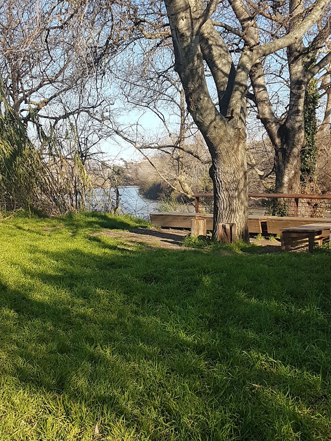 Parco Magliana