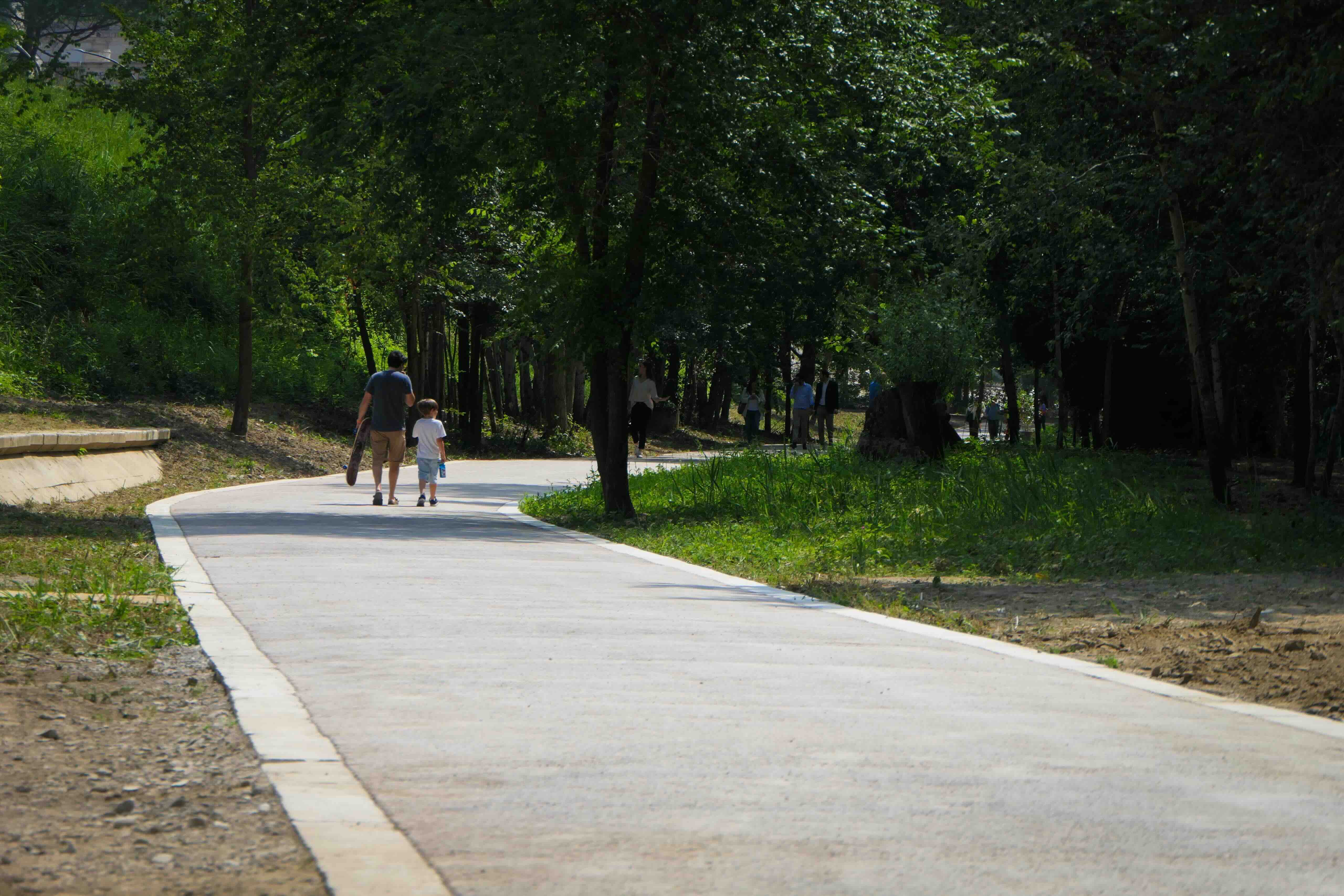 Parco di affaccio oasi naturalistica tra Ponte Milvio e Ponte Flaminio - fine lavori (giugno 2025)
